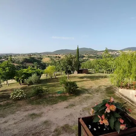 Pacifici, Con Piscina Privata Calvi dell' Umbria