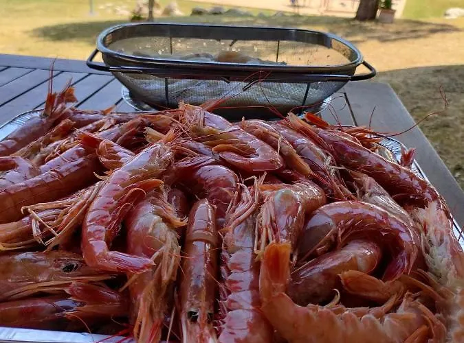 Pacifici, Con Piscina Privata Calvi dell' Umbria